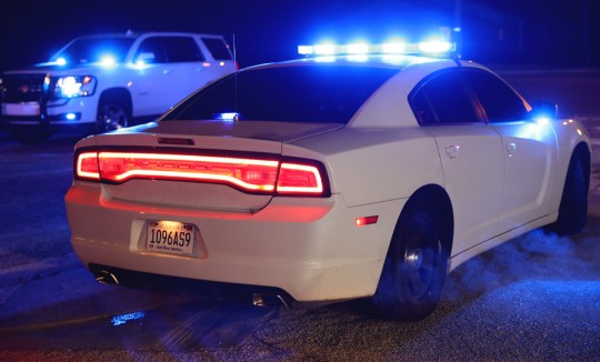 KingsField-turkeys-5010