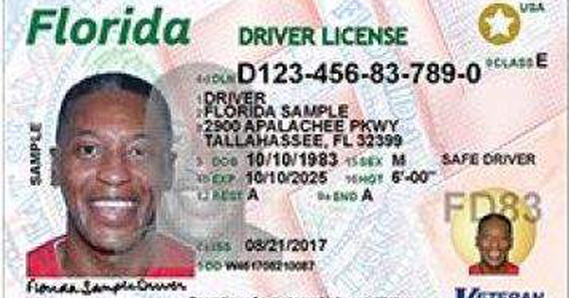 Floridians struggle with long delays to renew driver licenses