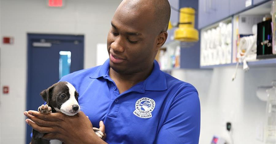 Escambia Animal Shelter Cuts Hours Due To Staffing