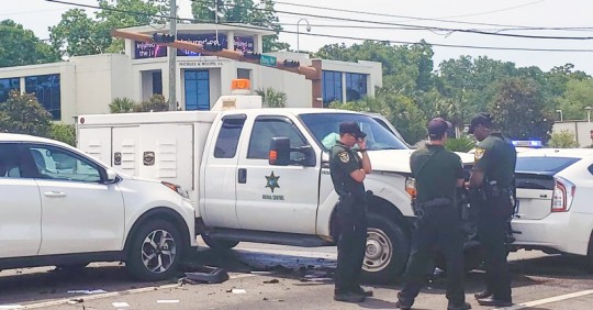 animalcontrolwreck10