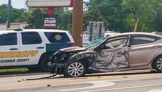 animalcontrolwreck12