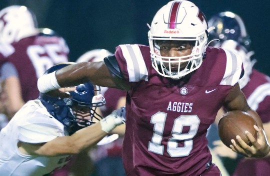 Tate-Gulf-Breeze-3051