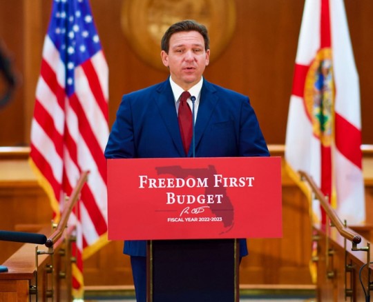 desantisbudget11