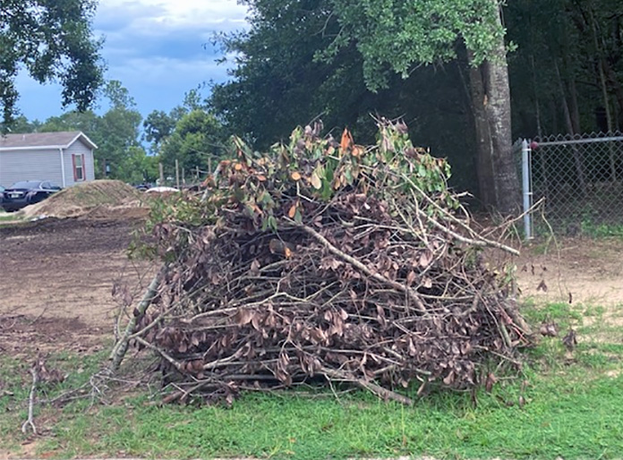 District 5 Cottage Hill Neighborhood Cleanup Collects Nearly 30 Tons of