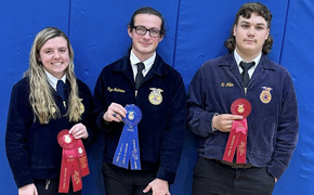 Three Northview FFA Students Place At District Competition