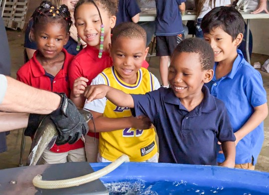 Fresh-Florida-NHS-1008