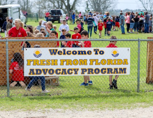 Fresh-Florida-NHS-2009