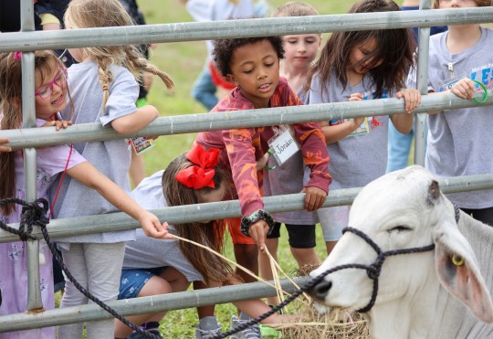Fresh-Florida-NHS-2011