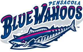 Blue Wahoos Fall to Shuckers In Road Trip Finale