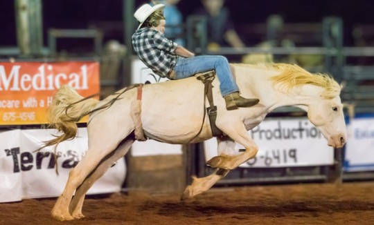 rodeo11