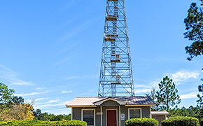 $6.3 Million In Grants Available To Support Florida’s Forests