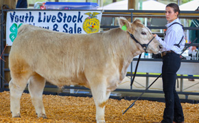Blue Jacket Jamboree, Livestock Show, Car Show Held Saturday In Molino (With Photo Galleries)