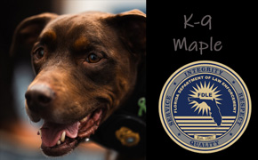 Maple, The FDLE K-9 Cop That Sniffed Out Computer Criminals, Has Passed Away