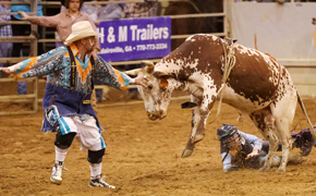 Tate FFA Alumni Rodeo Continues Tonight