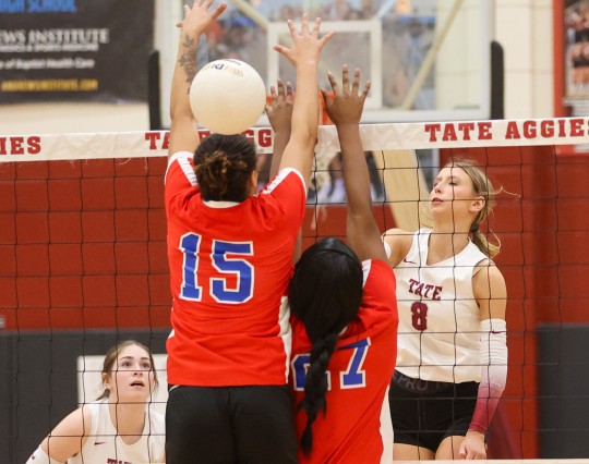 Tate-Pine-Forest-2022