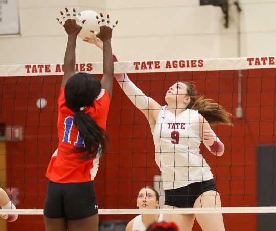 Tate-Pine-Forest-2027