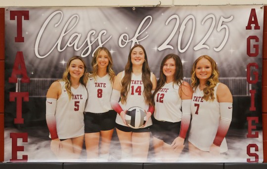 Tate-Pine-Forest-2065