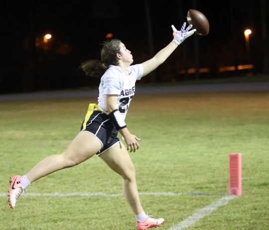 Tate-at-NHS-flag-1128