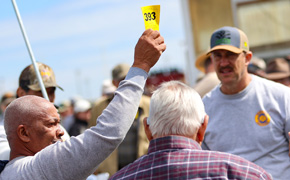 Annual Walnut Hill Ruritan Farm Auction Is Saturday