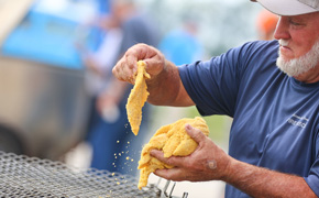 Walnut Hill Fire Dept. Fish Fry Is Today