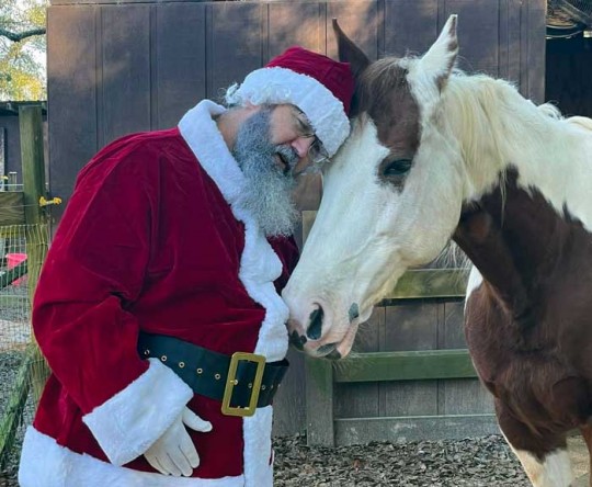 santahorse12