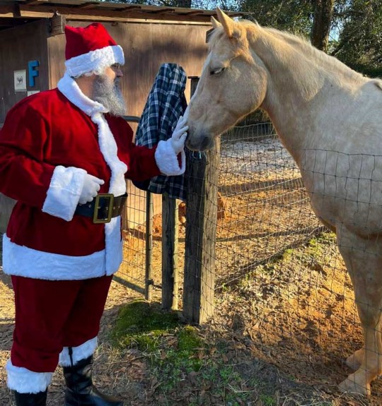 santahorse14