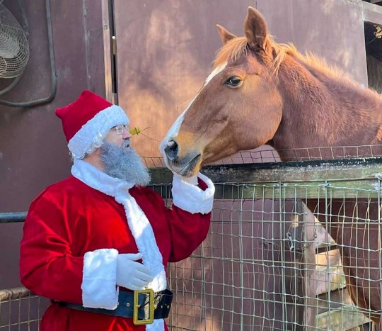 santahorse15