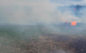 ECFR: Fire Near Molino Was Caused By A Chicken