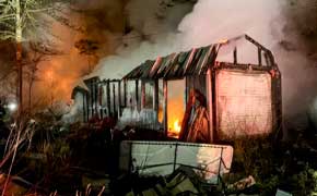 Fire Destroys Multiple Sheds And Vehicles In Cottage Hill, Kills Several Chickens