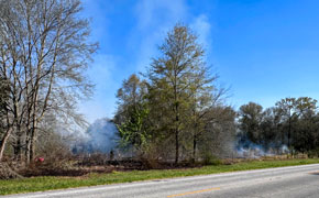 Firefighters, Forest Service Battle 10-Acre Fire In Davisville