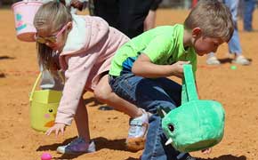 Blue Jacket Jamboree, Livestock Show, Car Show Held Saturday In Molino (With Gallery)