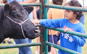 Students Learn About Ag During NHS ‘Fresh From Florida’ Event (With Gallery)