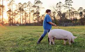 Beulah Middle School FFA Awarded National FFA Grant To Support Food Donation Project