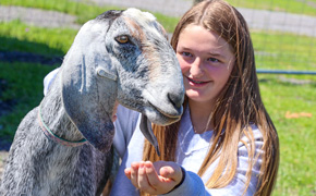 Ernest Ward Middle School Hiring New Agriculture Teacher For Growing Program