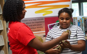 Sunset Wildlife Connection Brings Animal Encounters To Century, Molino Libraries
