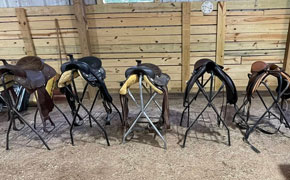 Non-Profit To Hold Horse Tack Sale on Saturday