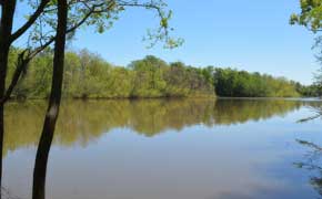 Cotton Lake Recreation Area Closed By Flooding; Bluff Springs Reopens