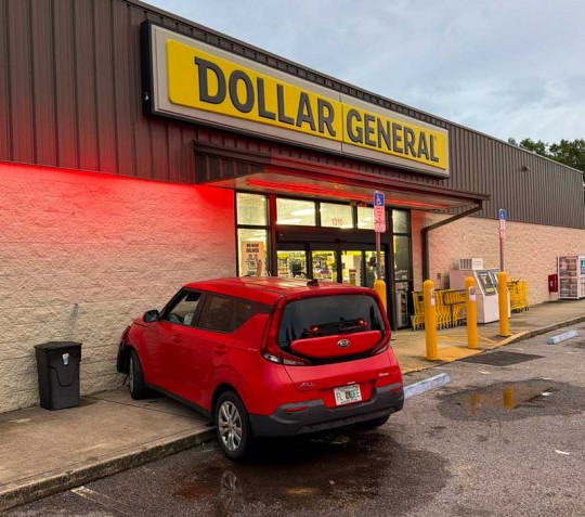 dg11
