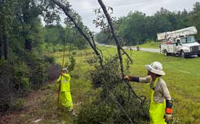 Storms Leave Hundreds Without Power Across Escambia County