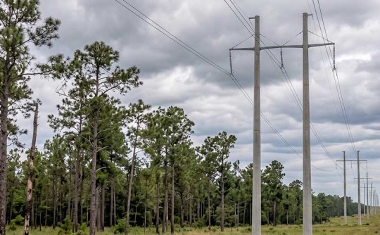 powerlines11