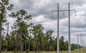State Issues Max Fine After FPL Contractor Herbicide Application Kills Animals, Bees
