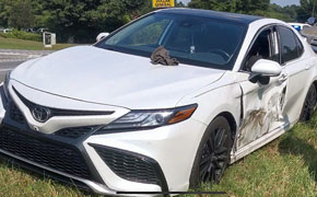 No Injuries In Highway 29 Crash