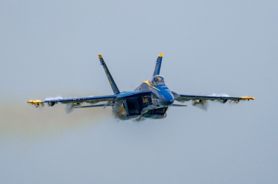 DSC_7386_edited-1