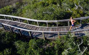 Free Admission To Florida State Parks For The Independence Day Weekend