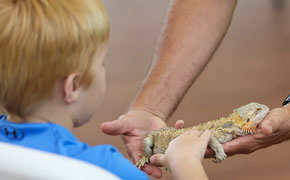 Reno’s Reptiles Visit The Library (With Gallery)