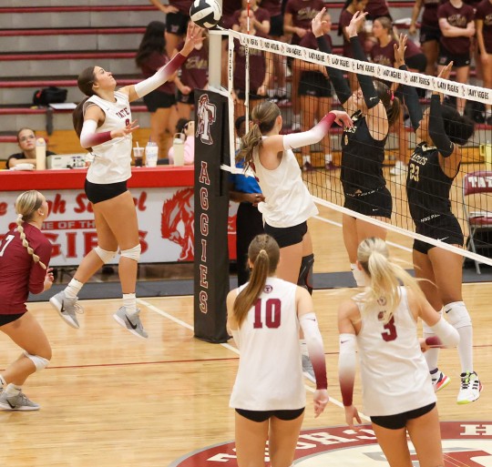 Tate-Niceville-1074