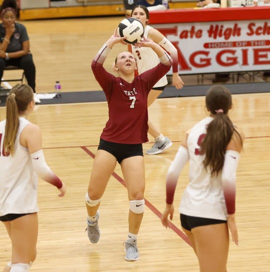Tate-Niceville-1088