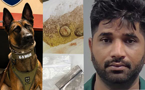 K-9 Sniff Leads To Fentanyl Bust At I-10 Ag Station In Escambia County