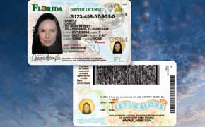 Florida Driver’s Licenses, ID Cards Get A New Look. Here’s What Is Different.