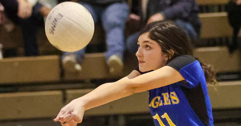 Middle School Volleyball: Ernest Ward Beats Ferry Pass (With Photo ...